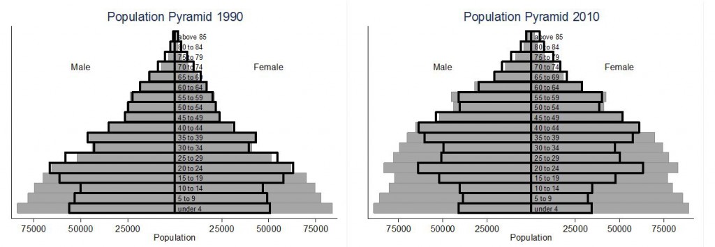 Chinese Population Pyramid